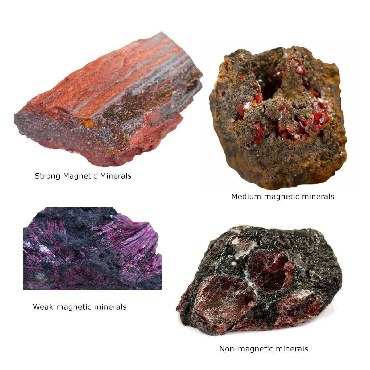 Discover What Minerals Are Magnetic and Why