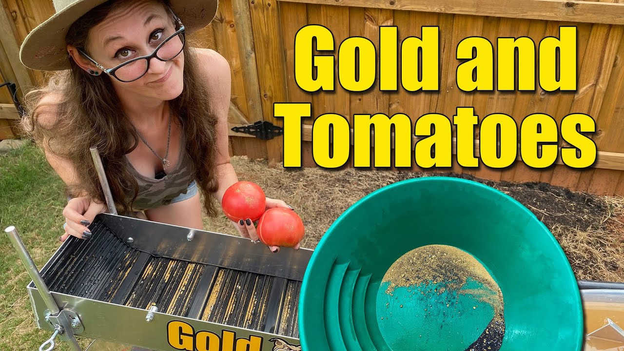 Unlock Your Gold Prospecting Potential with GoldHog.com