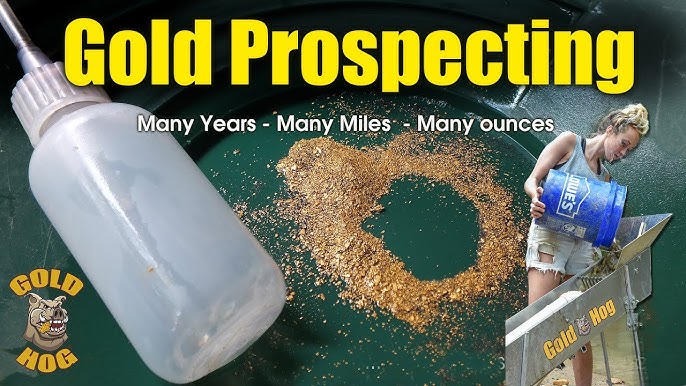 Unlock Your Gold Prospecting Potential with GoldHog.com