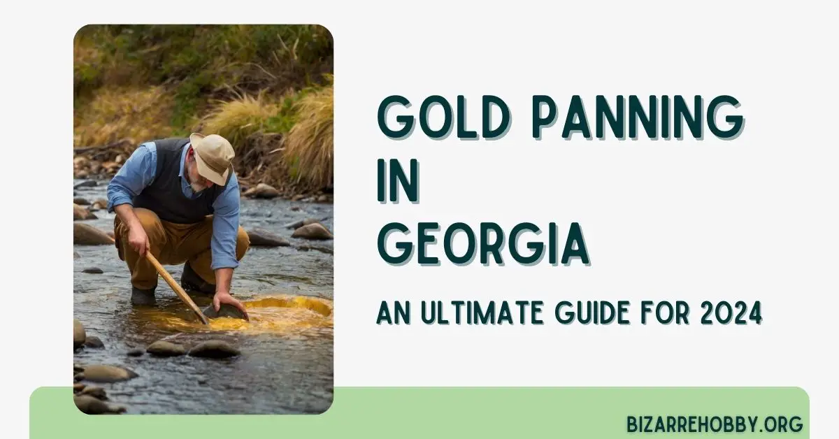 Explore Georgias Gold Belt： Your Ultimate Gold Map Guide