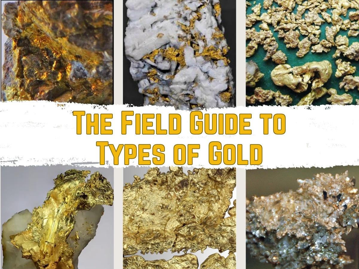 Comprehensive Guide to Common Types of Gold Ore and Processing Methods