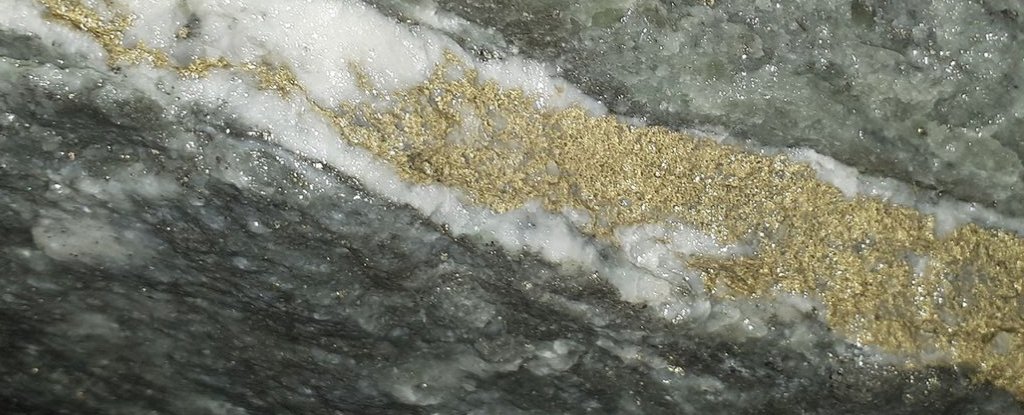 Understanding Gold Veins： From Formation to Identification in the Wild