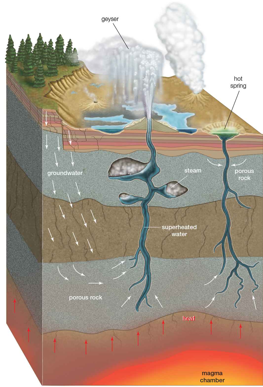 How Placer Deposits of Gold are Formed: A Guide to Gold-Rich Sites