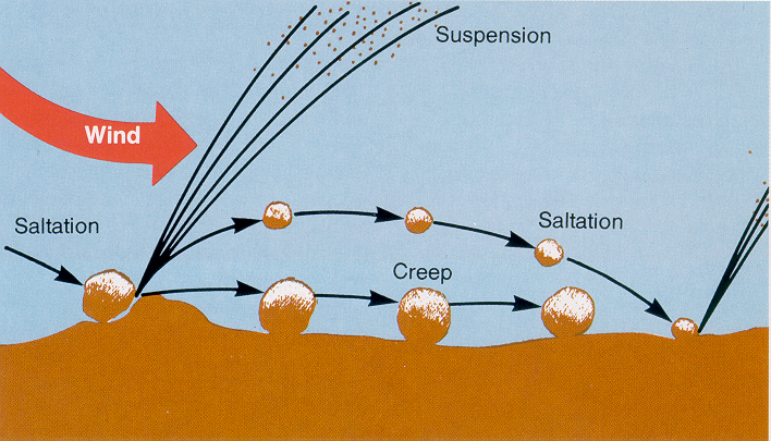 How Placer Deposits of Gold are Formed: A Guide to Gold-Rich Sites