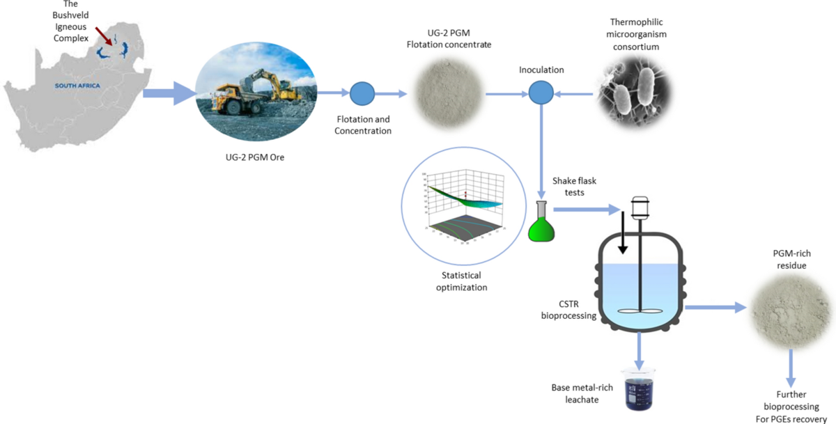 Optimizing Leaching Tank Performance for Enhanced Metal Recovery