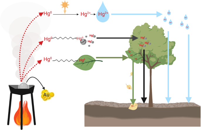 Understanding Mercury Gold: Environmental Impact and Risks